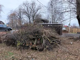 Можно ли выбрасывать листву, ветки, остатки зелени после уборки клумб и грядок в контейнеры на контейнерную площадку?